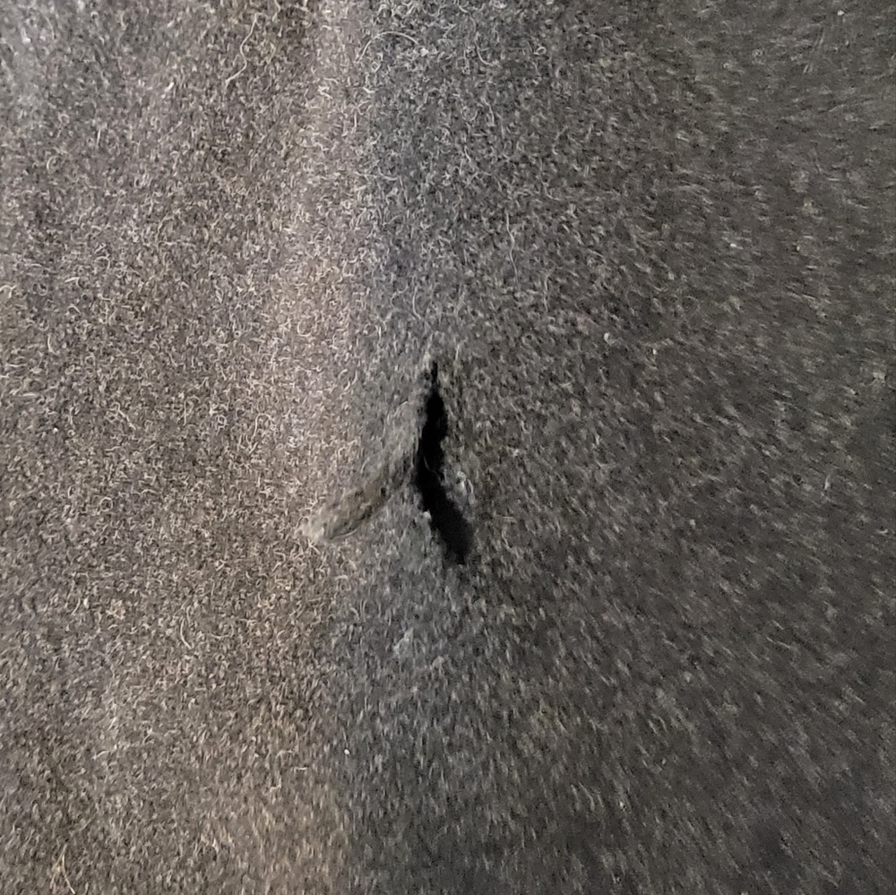 Element Bomber Jacket - image 4